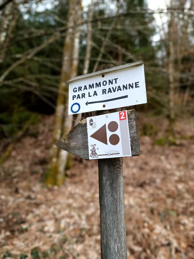Gite De La Ravanne Ramonchamp 외부 사진